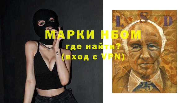 прущие грибы Арсеньев