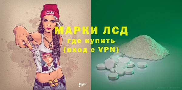 прущие грибы Арсеньев