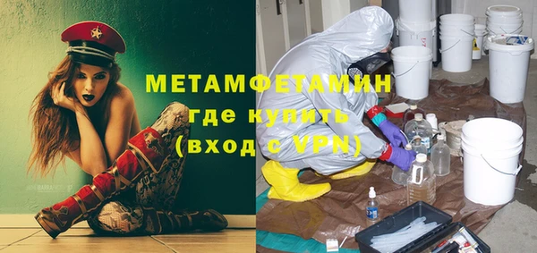 прущие грибы Арсеньев