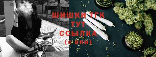 прущие грибы Арсеньев