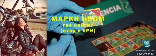 прущие грибы Арсеньев