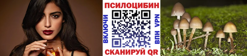 сколько стоит Белозерск Псилоцибиновые грибы Magic Shrooms